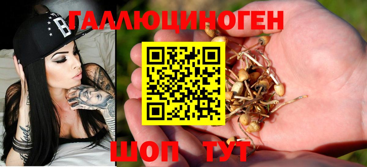 Псилоцибиновые грибы ЛСД Северск