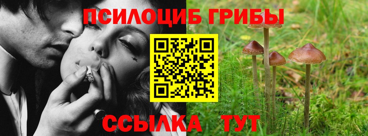 Галлюциногенные грибы Magic Shrooms  закладки  Северск  Вход с VPN 